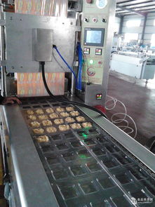 贝尔自动化设备最新动态与项目资讯